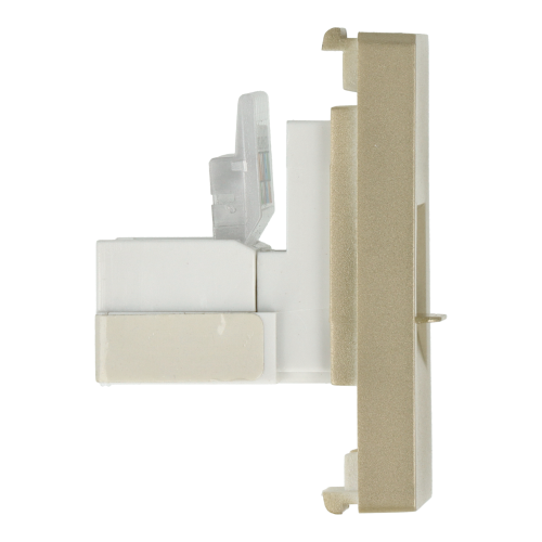 Moduł gniazda LAN CAT6 RJ45 Internetu x2 złoty DC SMART HOME
