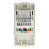 Moduł gniazda LAN CAT6 RJ45 Internetu x2 złoty DC SMART HOME
